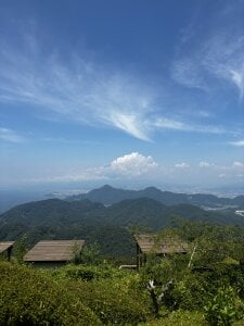 Rodrigues_Lucas Public Pic 5