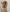 DivaSexxy2026sexxy图片 5