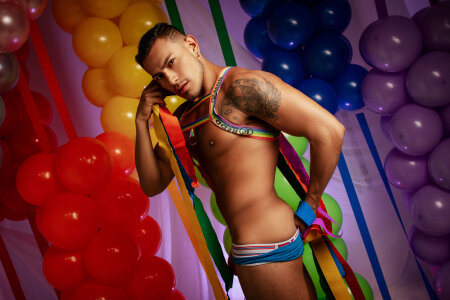 WillSandler Hugging diversity - Pride зображення 2