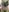 eolicasex My Body Pic 3