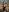Kismet_Nyx Sexy Doll in Forest Pic 9