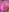 threesome_dolls#Striportreat照片 2