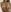 Radiants_two Tities Jess Pic 7