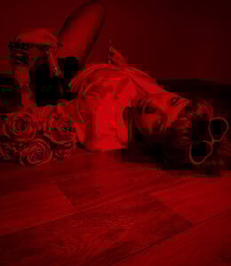 Valentine's Day 2026💞 de Sarah-Stoner  5 Imagens