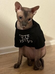 selina_coy my cats🐾😇💗 Pic 4