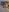 canela_10Nudes照片