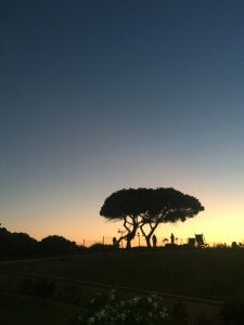 Public de baipal74  3 Imagens