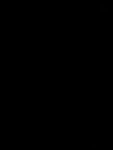 ddd71333 Public Pic 4