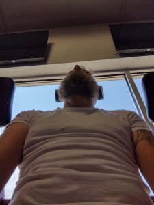 Public de MrPalmTrees  2 Imagens