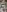 Evelivelyvery hairy照片 8