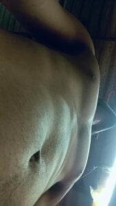 ElementaryColor80 Public Foto 3