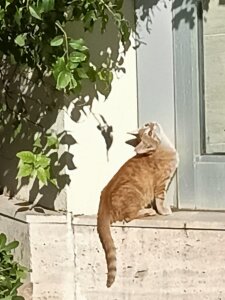 01missaslan Public Pic 4