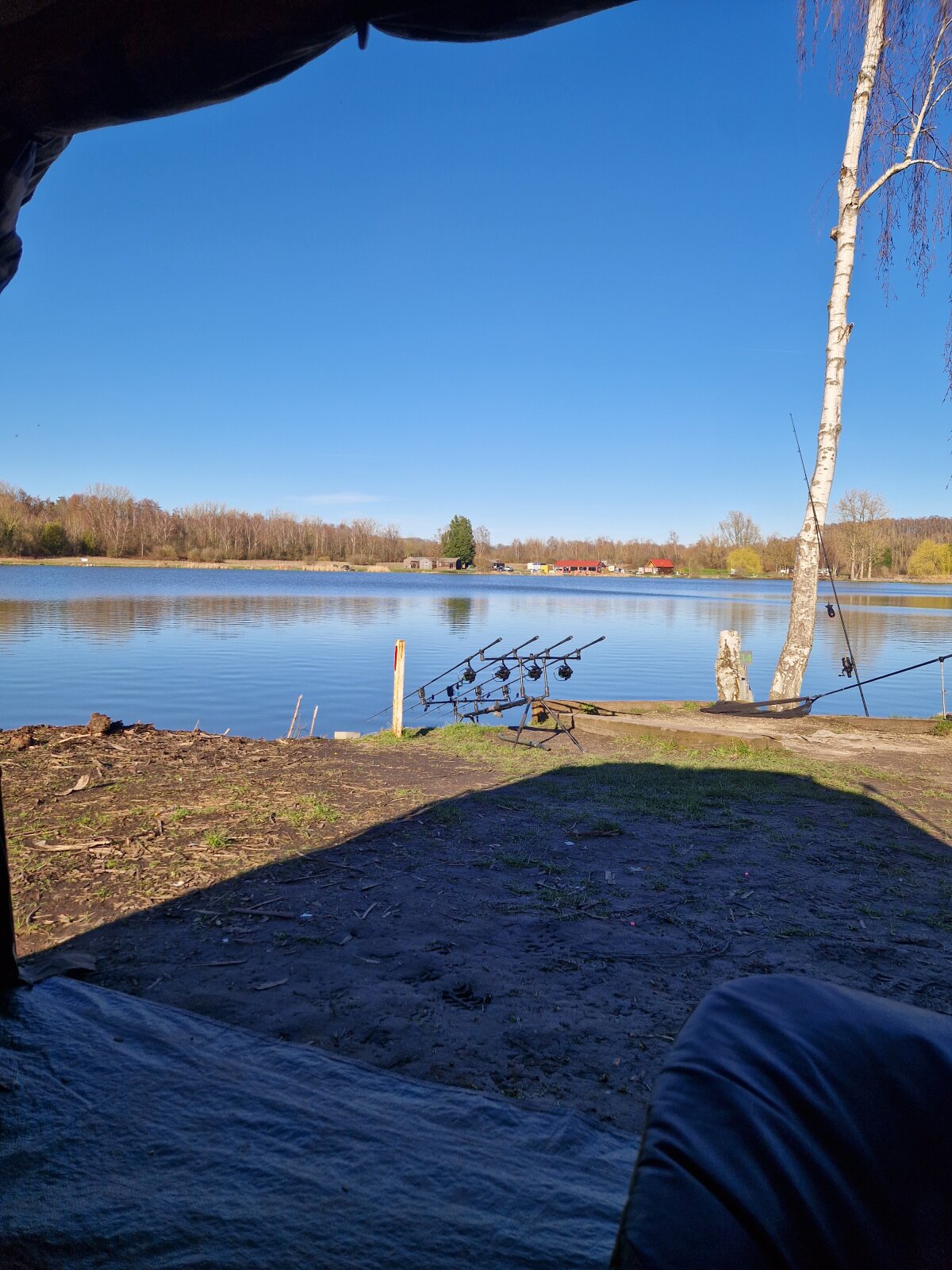 Ảnh Thịnh Hành của 3xclusiv33333 7203