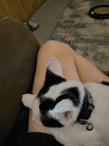 rainbow9028 About me Immagine  3