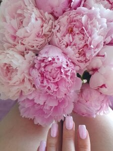 Zdjęcia Tiluu1 flower: 