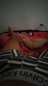 Public de vanerdey85  7 Imagens