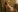 HatumiSou Felt Cute, might delete later ;) 18+ Pic 7