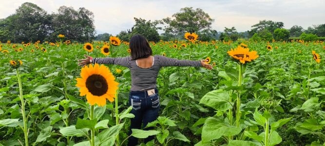 1julianasalazar a band-aid to the heart / una tirita para el corazón 圖片 5