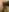 Hilfe bin ich eng. Ich weiß echt nicht, wie 2 Gurken gleichzeitig in meine Fotzen gepasst haben de p6w_official  4 fotos
