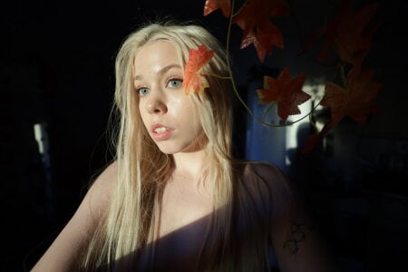 webpetite Public Foto