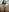 miatemptress69 Sexy Bitch loves dirty Pic 7