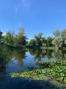 StellaZeolla Little Moments Pic 5