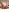 Why be rude when you can be nude de GoddessDDlynn  4 fotos