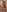 MsShelby40 kullanıcısının Titties anyone? albümü -  fotoğraf