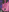 Persephone_Banks Tease Pic 4