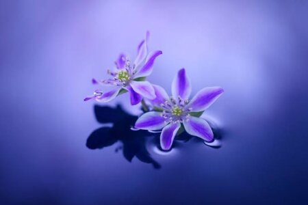 Karen_o87 🌼かれんの少し🌼 Pic