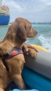 MIA_Y_KRONX De paseo Pic 2