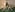 zlabiya_ Be an Obedient Servant in a Collar for Mistress Photo 4