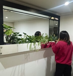 anaroman01 A house full of life and love ❤️ 圖片