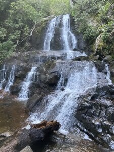 chunky_3 Public зображення 4