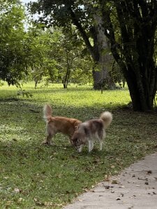 ghaydaa_jamil's :5 Sex Photo 1