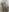 serena_willow naked photo in the shower Pic 4
