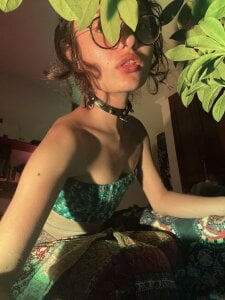 Miamhua-Cat- Public slika 5