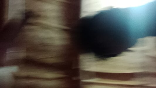 Mee i de Alexa88888_6  Imagens