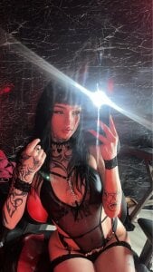 dulce-katt Public Bilde