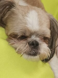 SophiaPotts Part of me صورة واحدة|SophiaPotts Part of me صورتان|SophiaPotts Part of me  5 صور|SophiaPotts Part of me  5 صورة