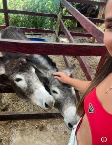 Sofia_Lopezz1 Animals ❤️ Pic 6