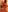 Rachel_damp Tease body and undressing Pic