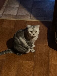 liana_kisses Frosty days😋❄  3. fénykép