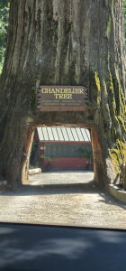 Edneedsrelease Pic of having fun  3. fénykép