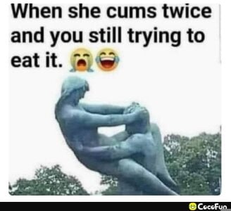 Tyrish361 Fav-Memes Immagine  4
