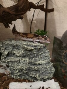 Andrina_Drew Public Foto 5