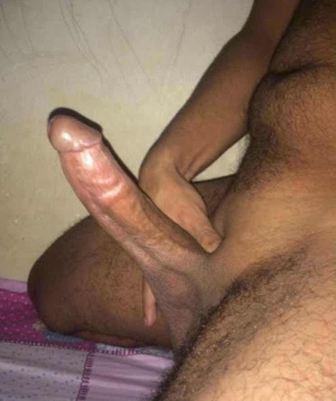 Трендове зображення  3579 Yonshass