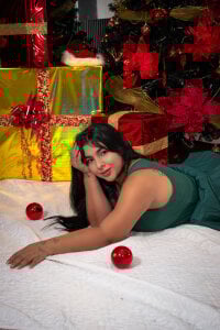 HannasscottHoliday Elegance图片 5