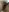 horny_baaby My push in public Foto  5