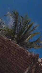 Valen_ross_ Playa brisa y mar 🌊 صورة واحدة|Valen_ross_ Playa brisa y mar 🌊 صورتان|Valen_ross_ Playa brisa y mar 🌊  2 صور|Valen_ross_ Playa brisa y mar 🌊  2 صورة